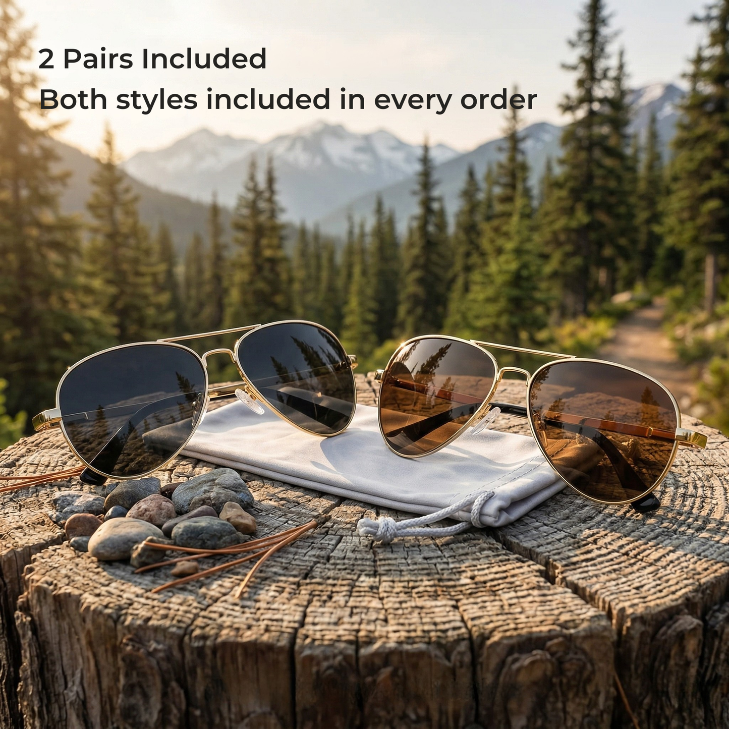 Exit Glacier Alpine Aviators